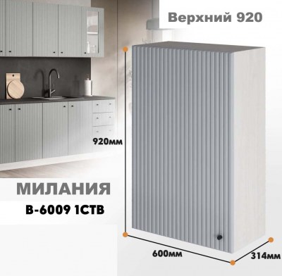 milaniia_v_6009 1stv_6